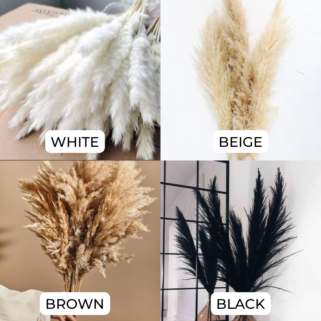 Artificial Pampas