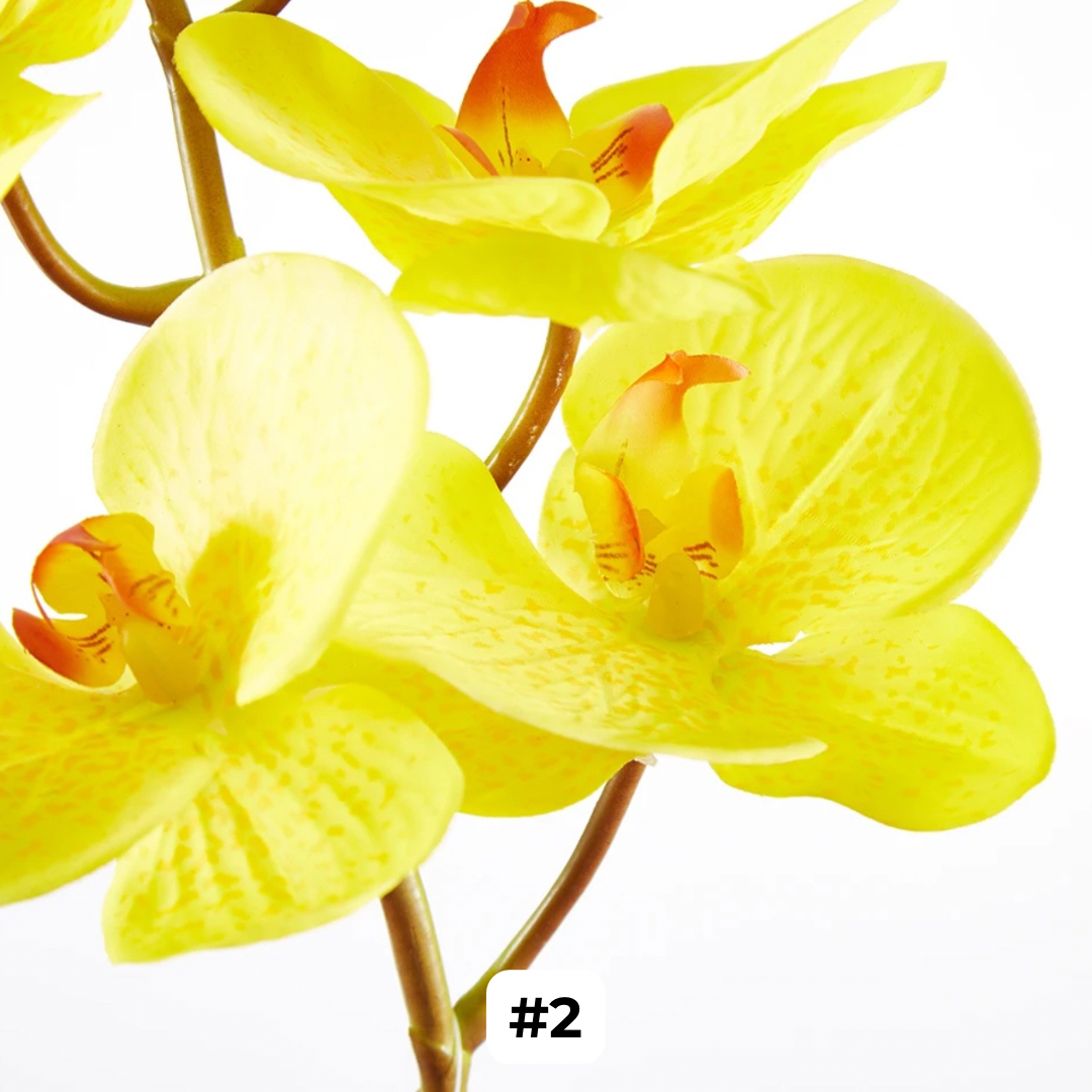 Artificial Orchids